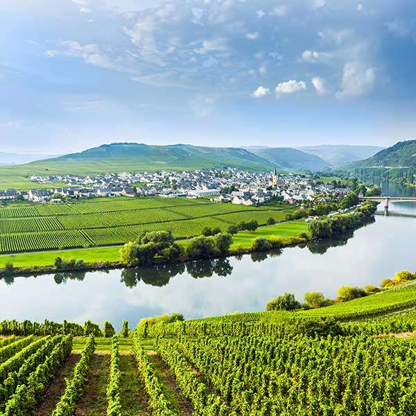 Panorama van wijngaarden in het Rijndal legpuzzel online