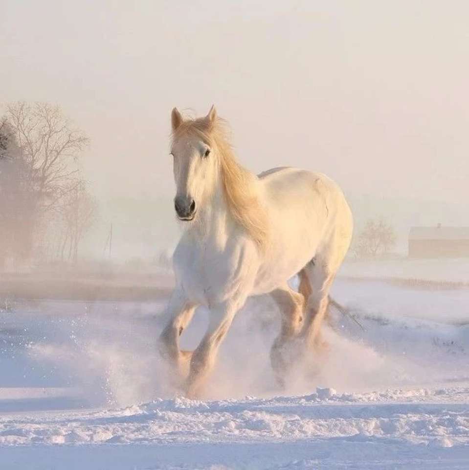 Le cheval blanc d'hiver puzzle en ligne