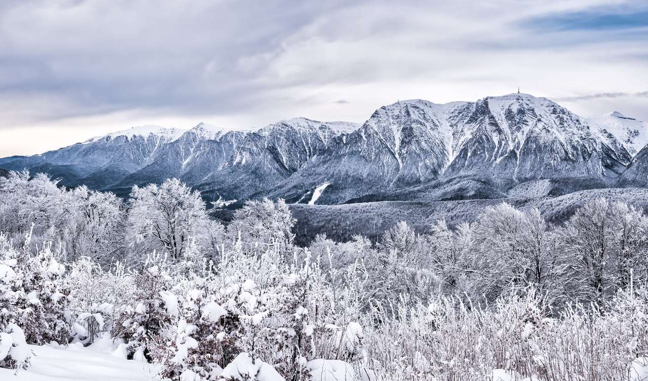 bergtoppen bedekt met sneeuw online puzzel