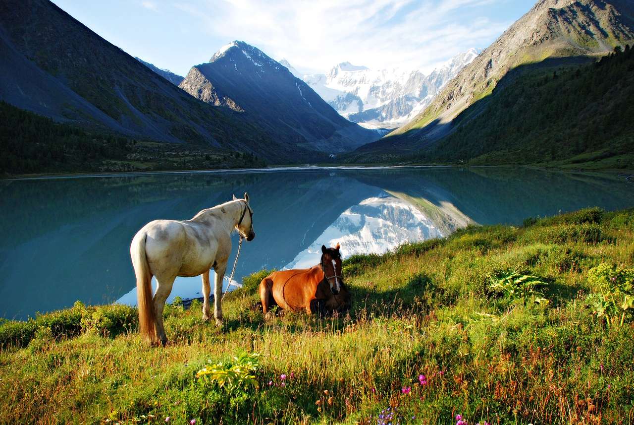 Alpage, chevaux, lac Ak-kem, Altaï, Russie puzzle en ligne