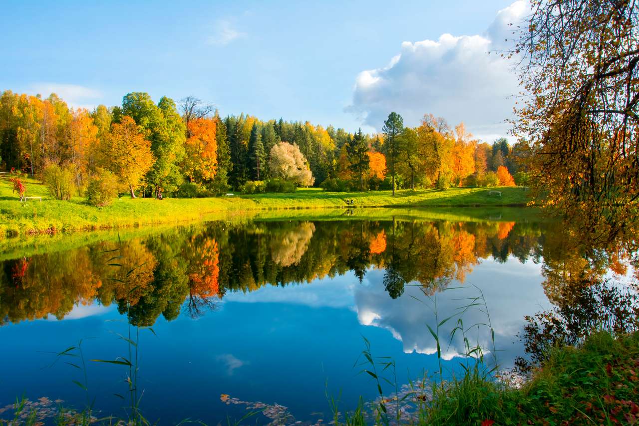 Herbstlaub im Pavlovsky Park, Pavlovsk Online-Puzzle