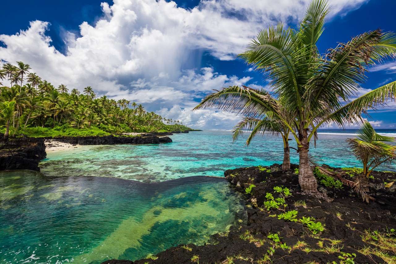 Livlig tropisk strand med palmer, Upolu, Samoa. pussel på nätet