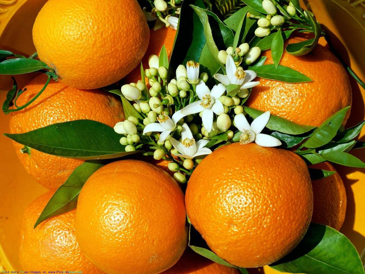 πορτοκάλια online παζλ