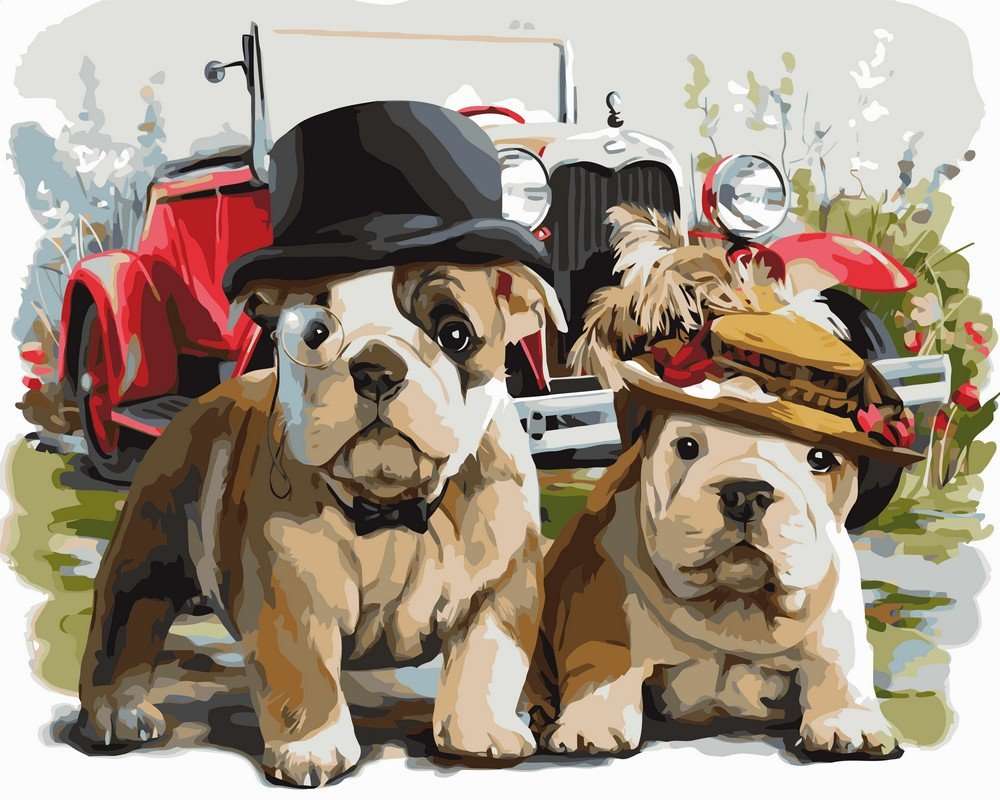Imagen- perros con sombreros rompecabezas en línea
