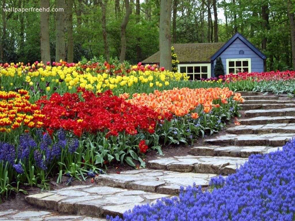 Vacker blomsterträdgård pussel på nätet