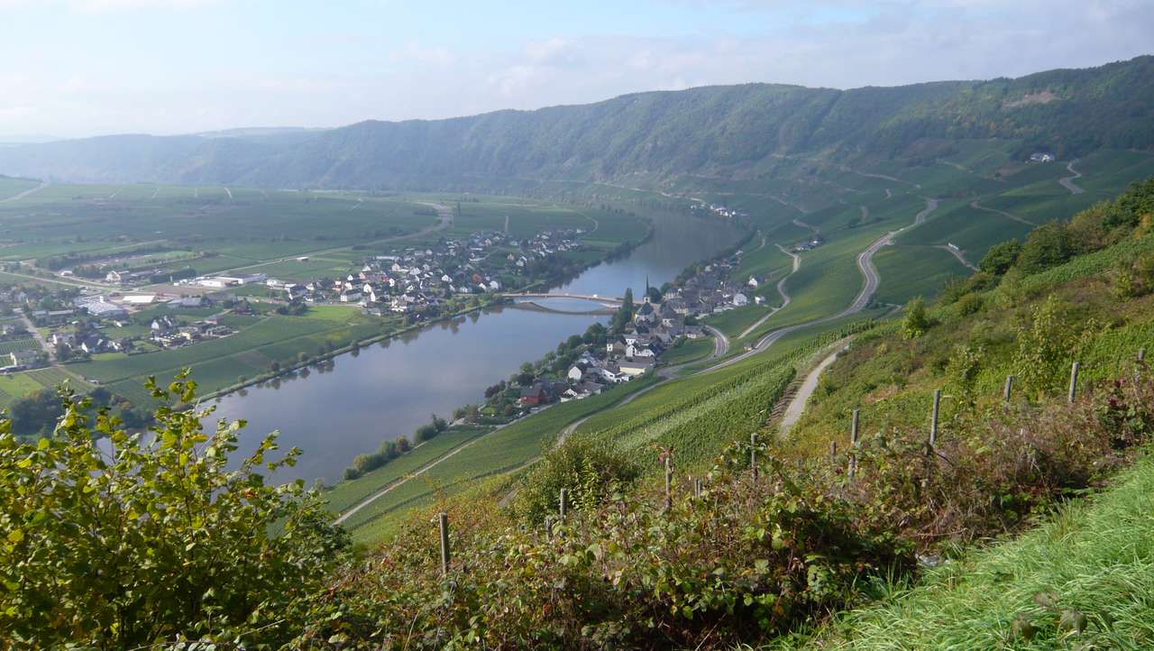 Panorama de la Moselle puzzle en ligne