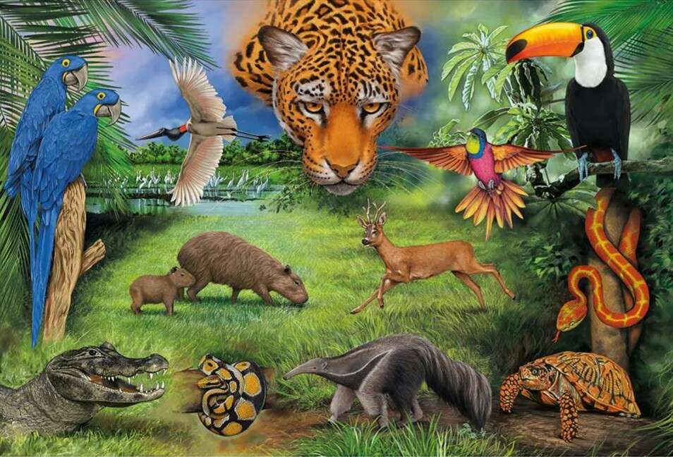 Brazilská fauna online puzzle