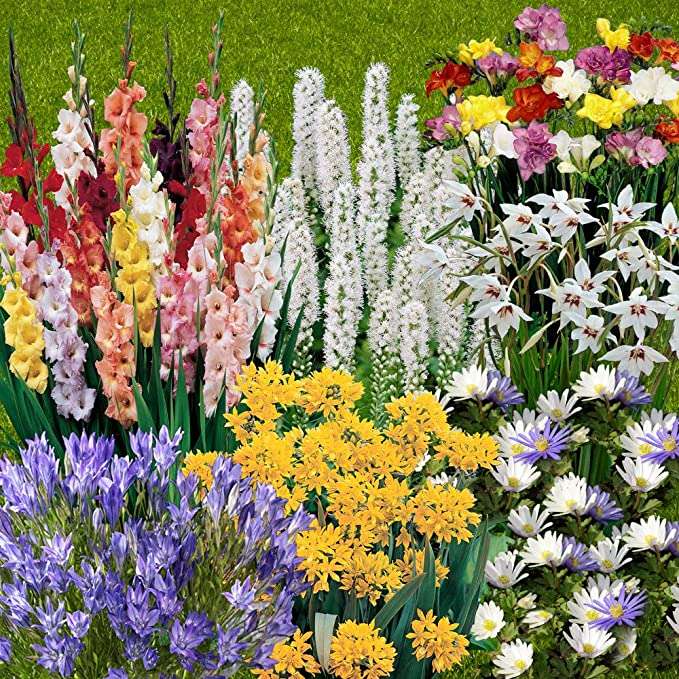 portie met bloemen legpuzzel online