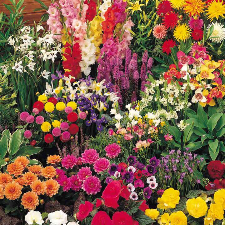 no jardim de flores quebra-cabeças online