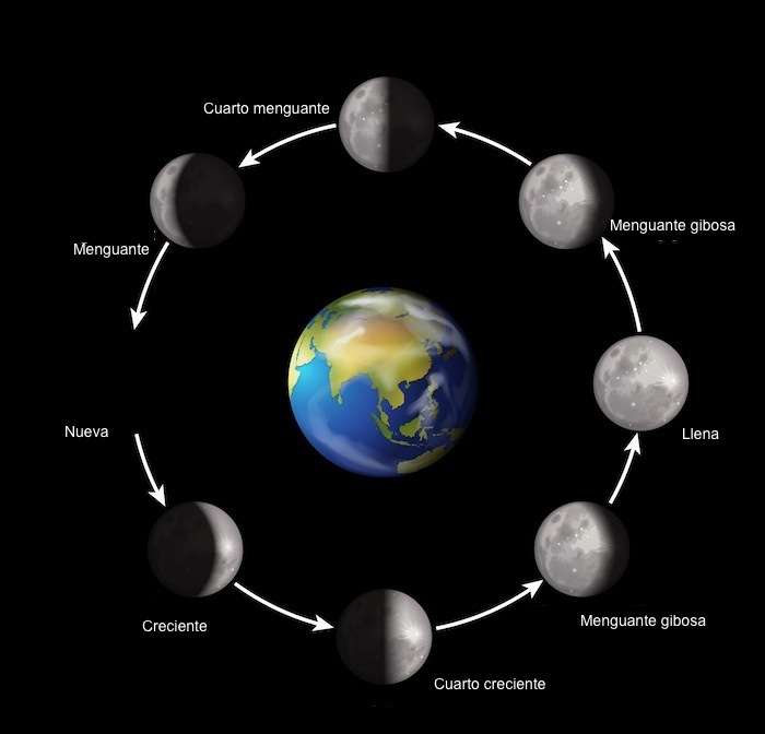 de fasen van de maan legpuzzel online