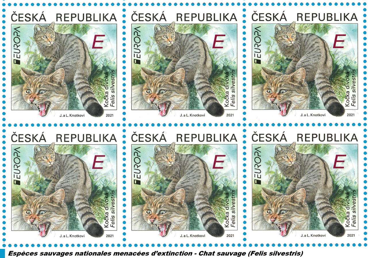Дива котка (Felis silvestris): застрашен вид онлайн пъзел