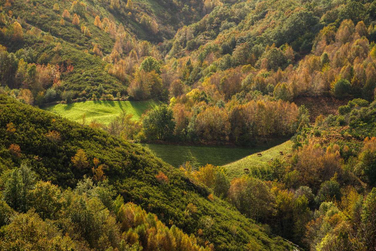 Herfst uitzicht op bos en weilanden in Galicië legpuzzel online