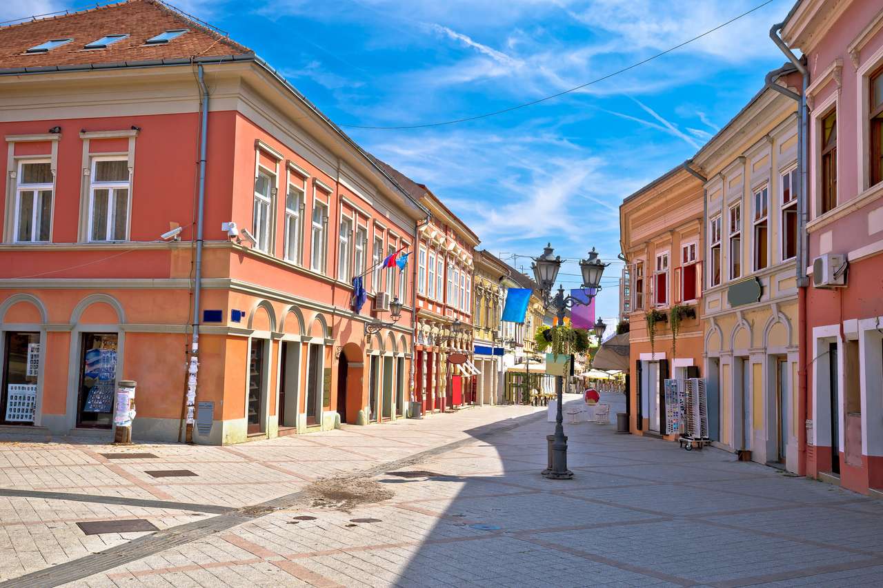 Restaurant zentrale Straße von Novi Sad Sommeransicht Online-Puzzle