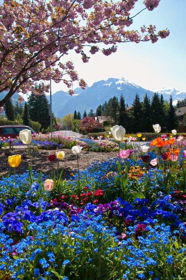 landscape with flowers online puzzle