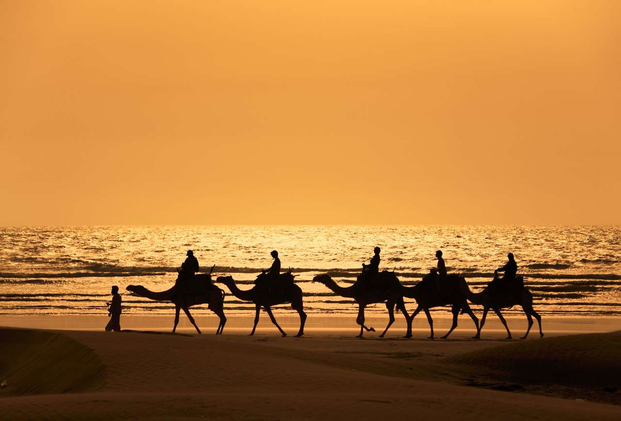Туристи їздять на поїзді на верблюдах на морі на заході сонця, Марокко пазл онлайн