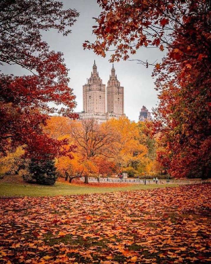 Hösten i New York. Pussel online