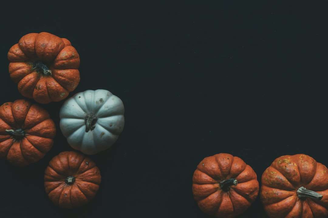 oranžové tykve skládačky online