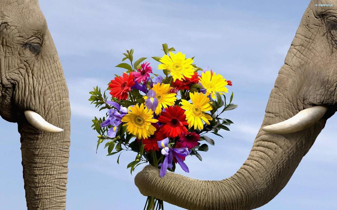 Két elefánt - egy csokor virágot kirakós online