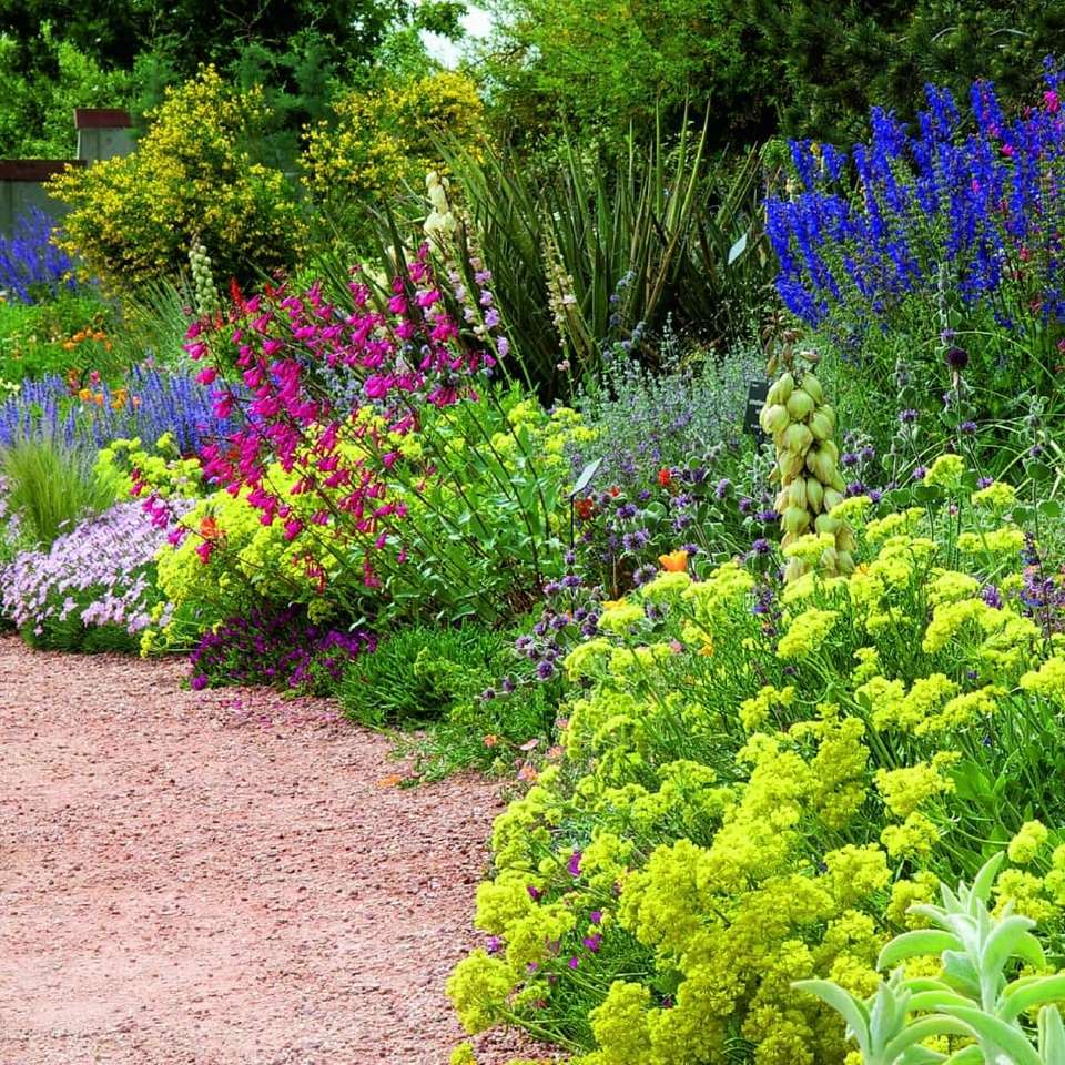 Цветна леха в градината онлайн пъзел