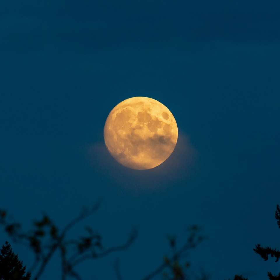vue de la pleine lune pendant la nuit puzzle en ligne