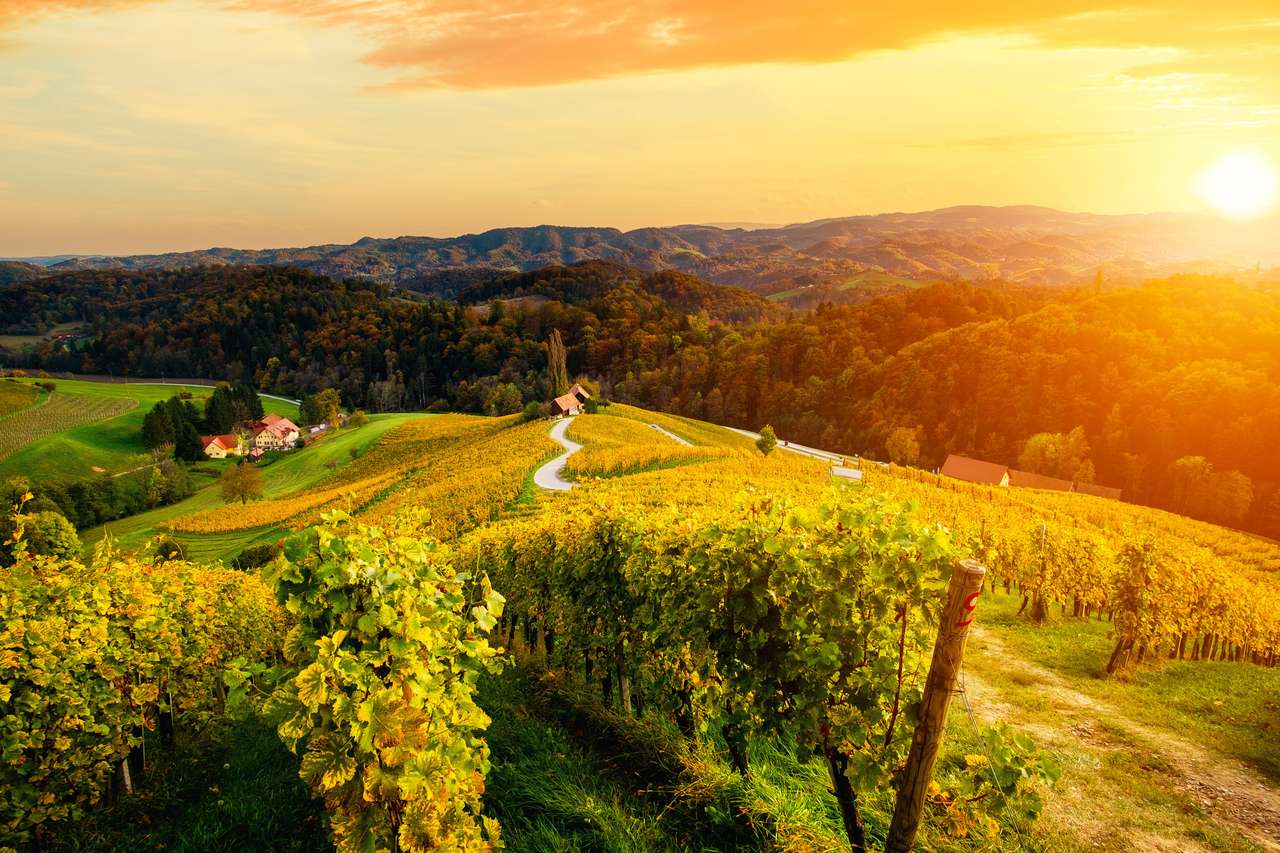 Célèbre route des vins en forme de coeur en automne puzzle en ligne
