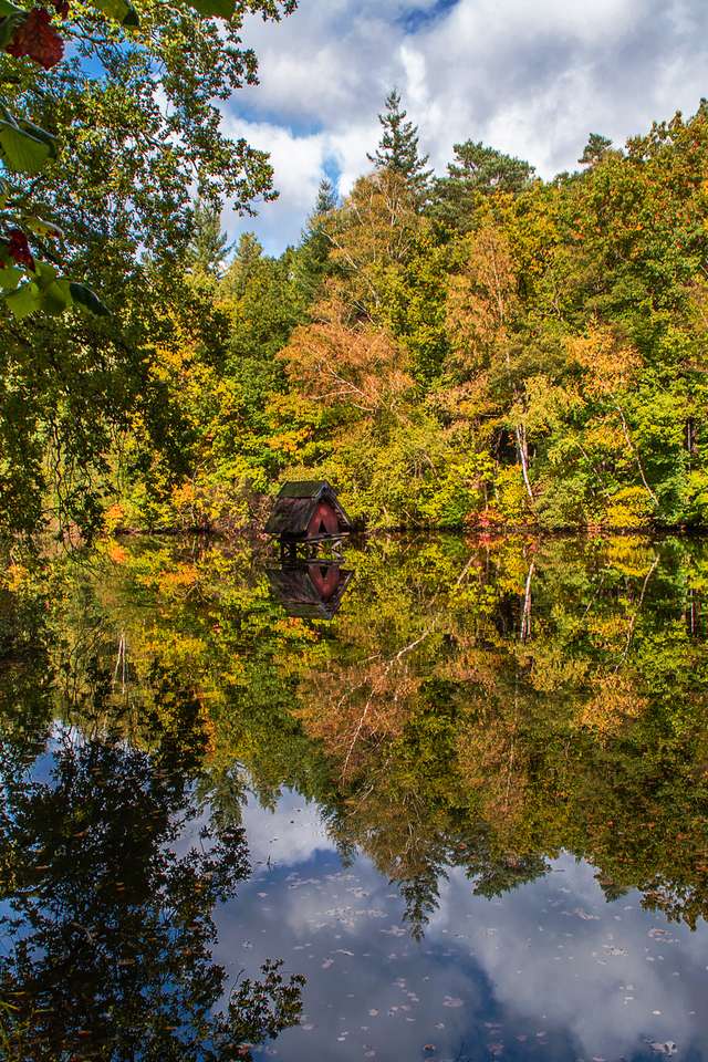 Anatra casa nel lago d'autunno puzzle online