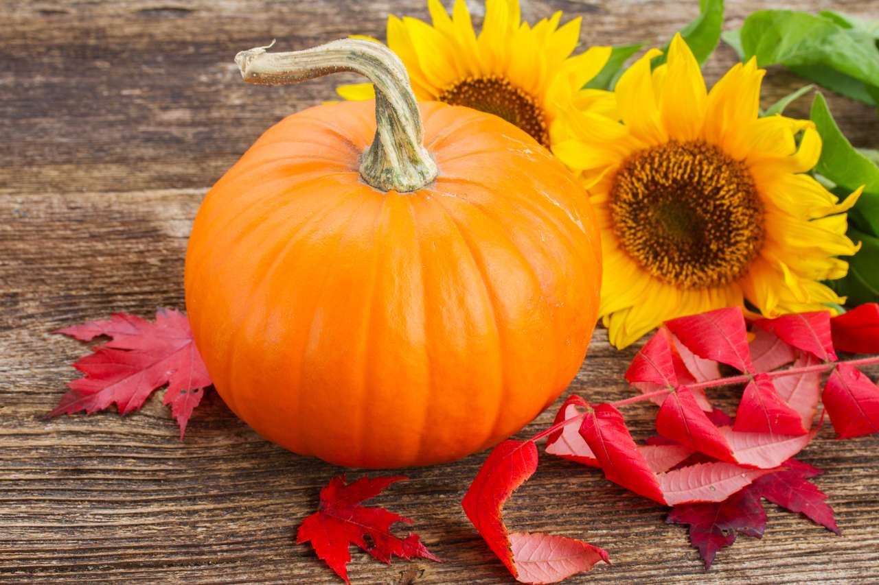Dýně se slunečnicemi a červenými podzimními listy skládačky online