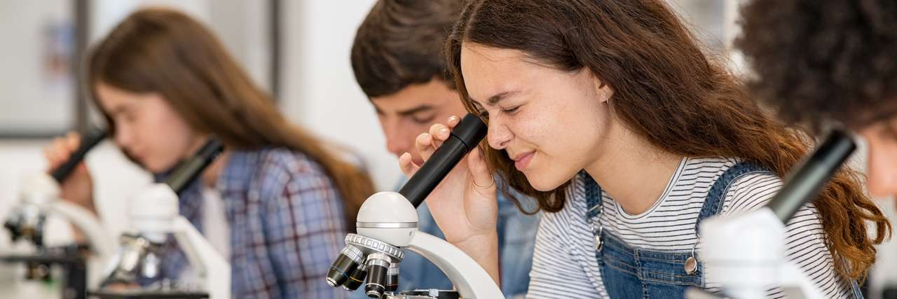 nueva ciencia rompecabezas en línea