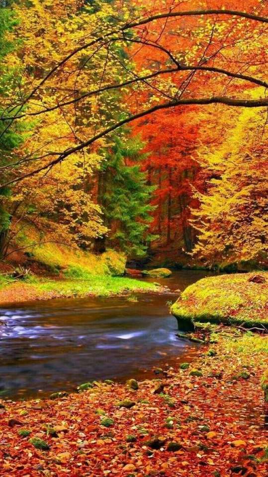 Floresta de outono colorida quebra-cabeças online