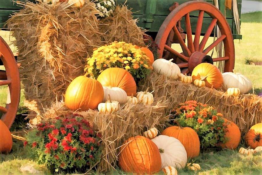 Ημέρα των Ευχαριστιών το φθινόπωρο παζλ online