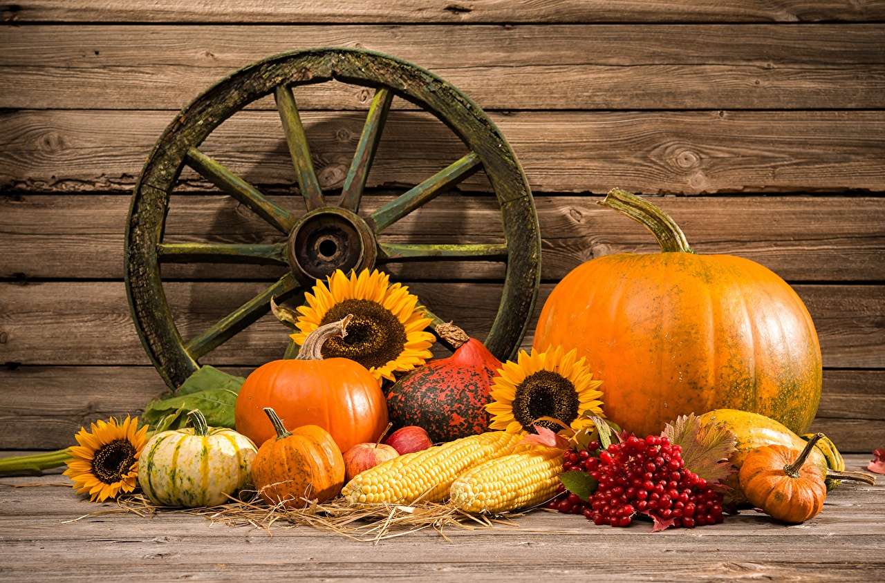 Декорация от есенни плодове онлайн пъзел
