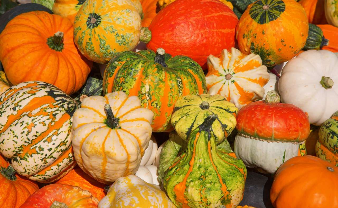 Herbstliche Dekoration Kürbis Vielfalt Online-Puzzle