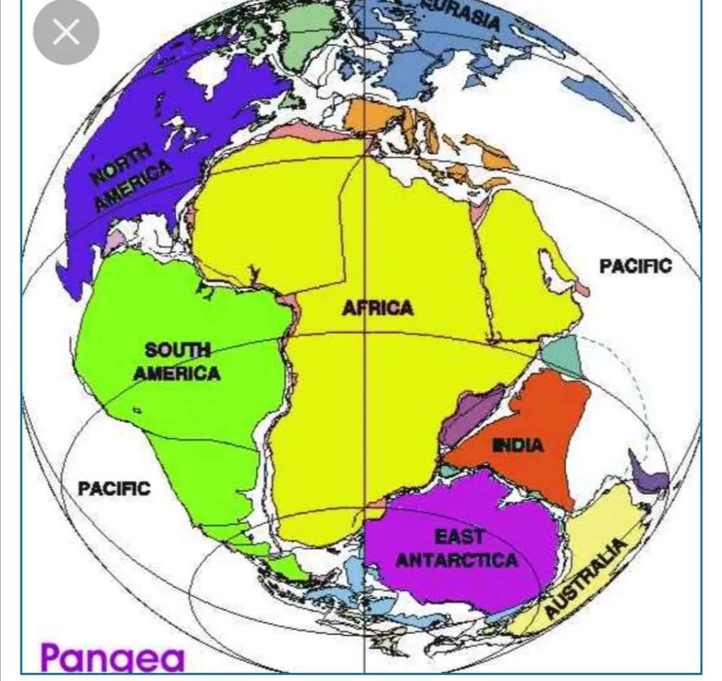 Continentul Pangea puzzle online