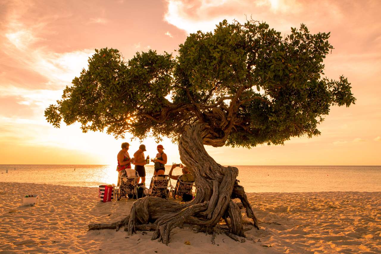 Sonnenuntergang am wunderschönen Eagle Beach Aruba Puzzlespiel online