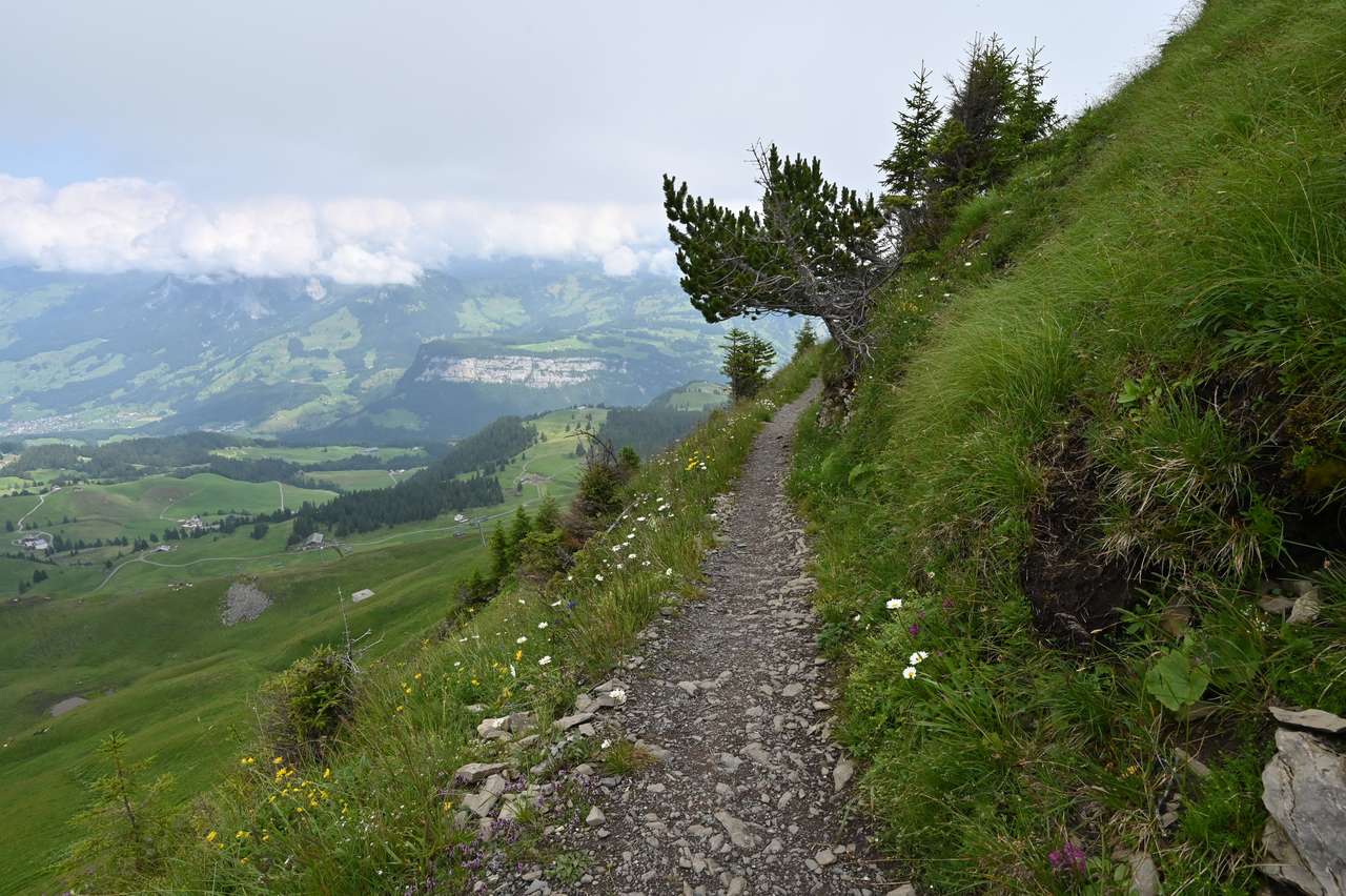 Пешеходна пътека по каменна пътека в Алпите, която се изкачва до върха. онлайн пъзел