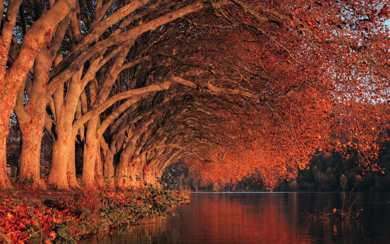 Outono no lago perto de Essen, na Alemanha puzzle online