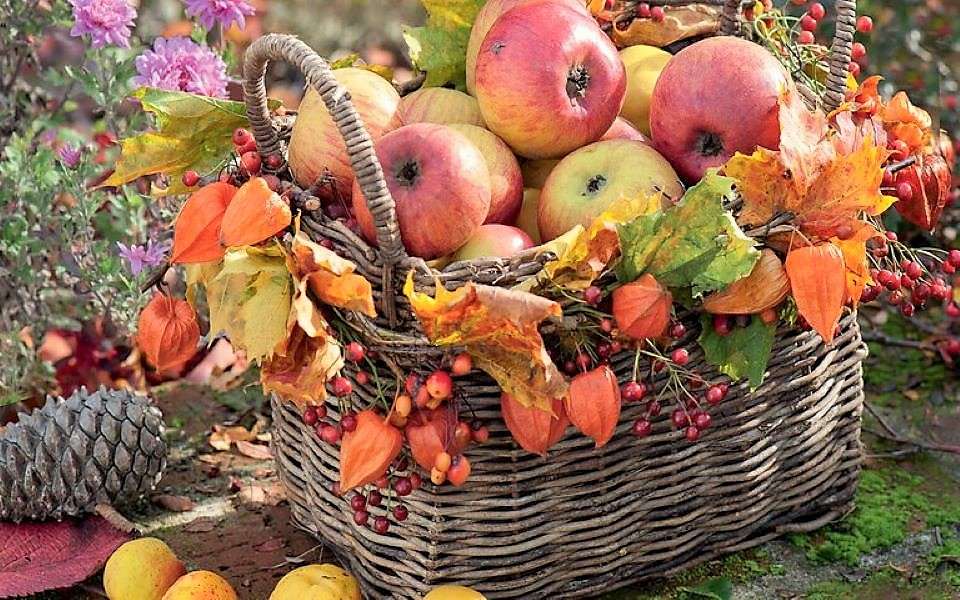 Raccolta delle mele in autunno puzzle online
