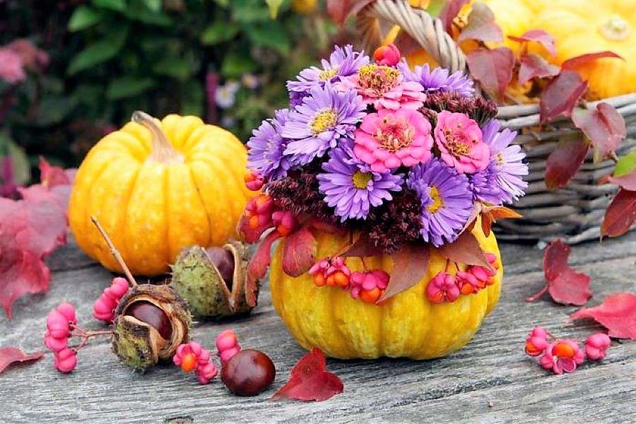 Decoración de otoño en la mesa rompecabezas en línea