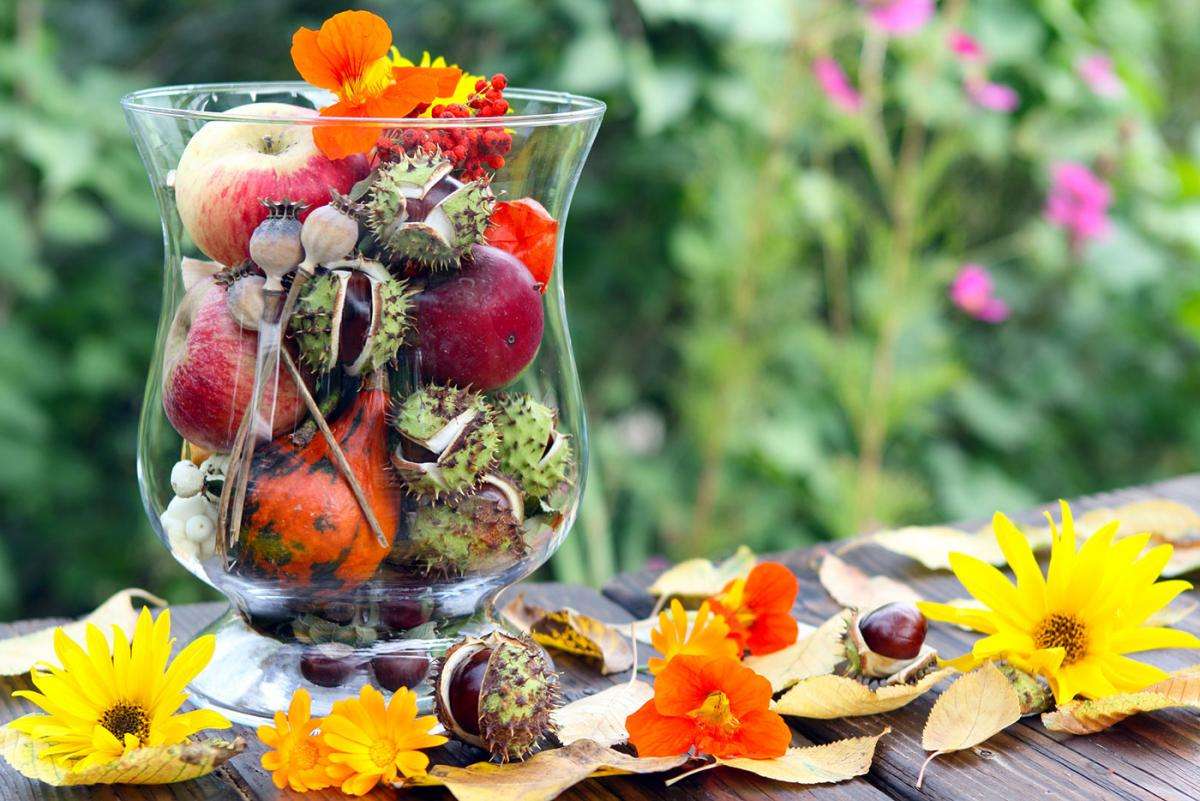 Decoración de otoño en mesa de jardín rompecabezas en línea