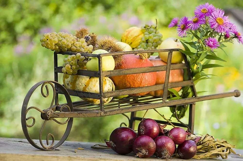 Thanksgiving dekoration på trädgårdsbordet Pussel online