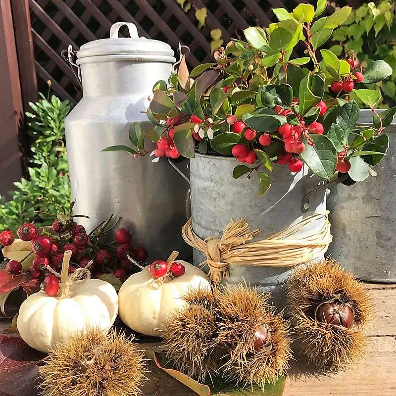Autumn decoration with milk can jigsaw puzzle online