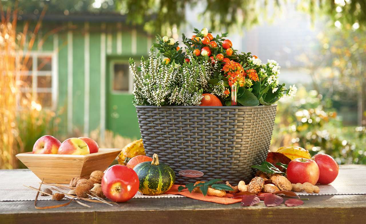 Herbstdekoration auf Gartentisch Online-Puzzle