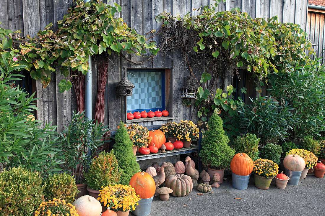 Podzimní dekorace na dřevěný dům online puzzle