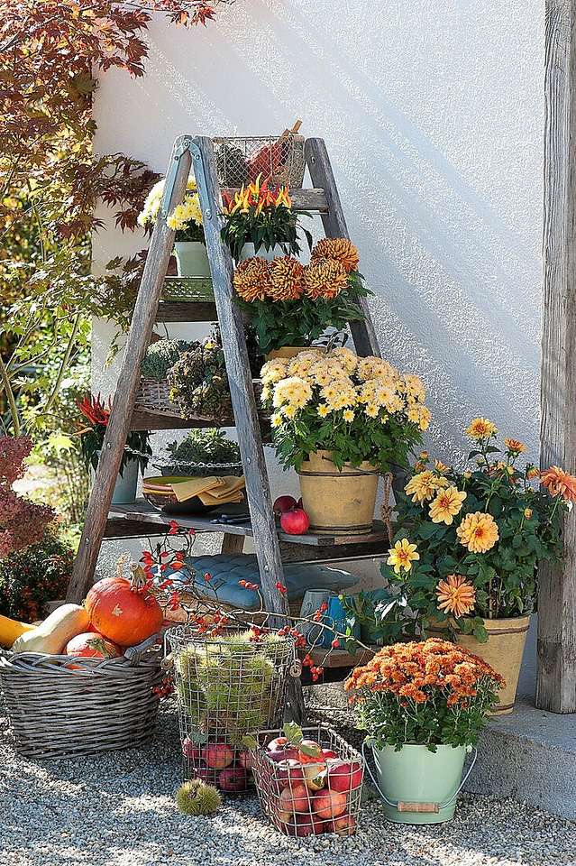 Herbstliche Dekoration vor dem Hauseingang Online-Puzzle