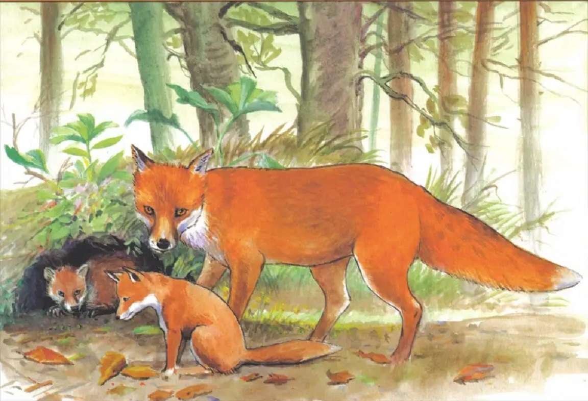 Fox family, goupil family online puzzle