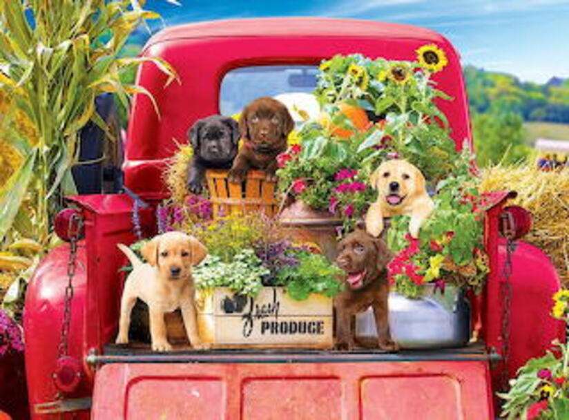 Кученца в кола с растения онлайн пъзел