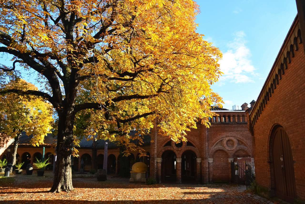 Kathedraal van Oslo in de herfst online puzzel