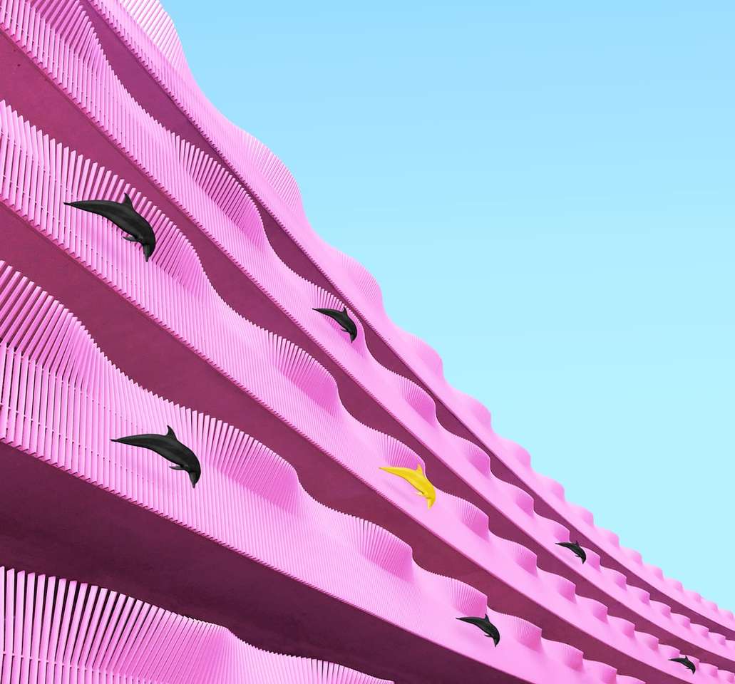 Delphin springt auf rosafarbener Oberfläche Online-Puzzle