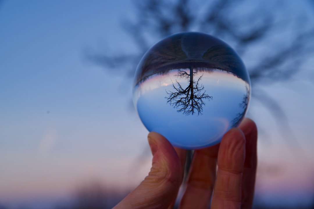 person holding clear glass ball jigsaw puzzle online
