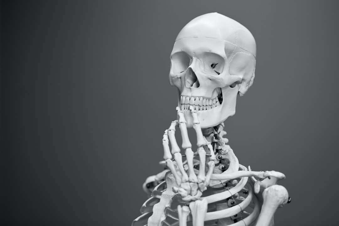 fotografia în tonuri de gri a scheletului puzzle online